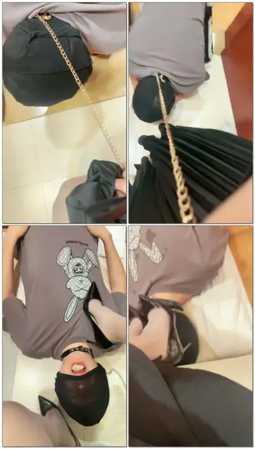 【王妃】间接hj圣水马桶