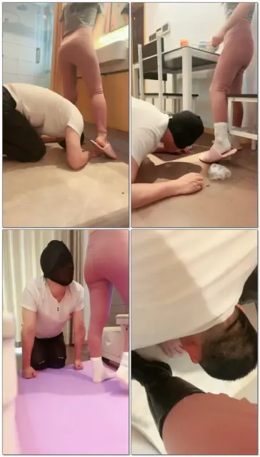 【王妃】起床随意TJ狗