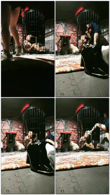 【南京月神S】被抓捕的狗，严刑逼供