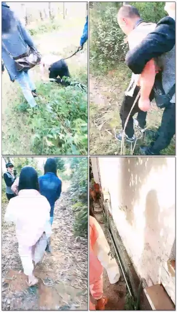 【烟雨】家奴私逃抓捕