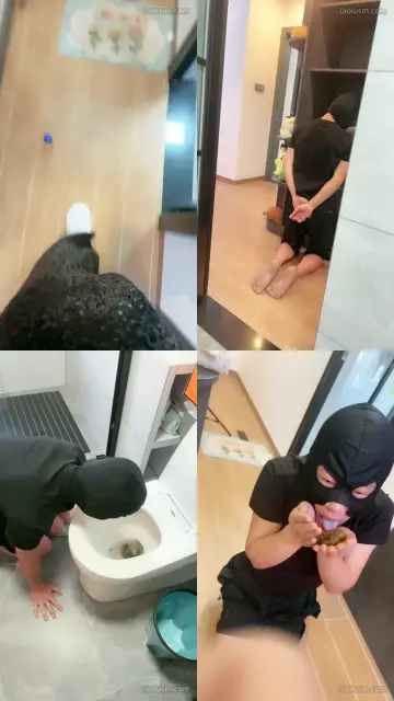 【黛樱】黄金专场