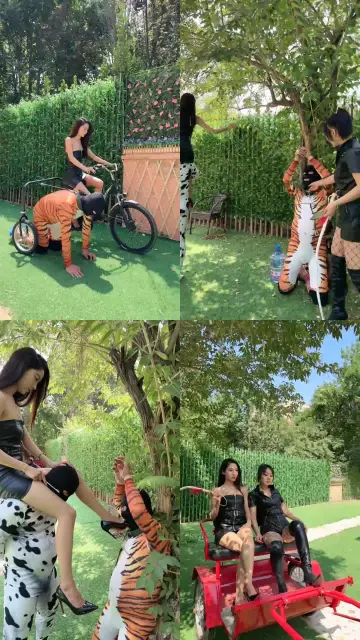 【红焱】双S-车夫的多种用途