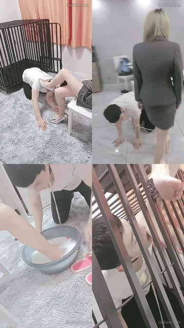 【紫烟】狗笼里的圈养狗【双视角版】