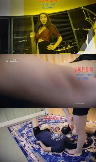 【HPL栖心之栈】【芷晴】芷晴反擒两杀手