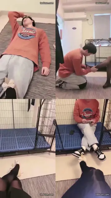 【安静大人S】长时间实录圈养生活