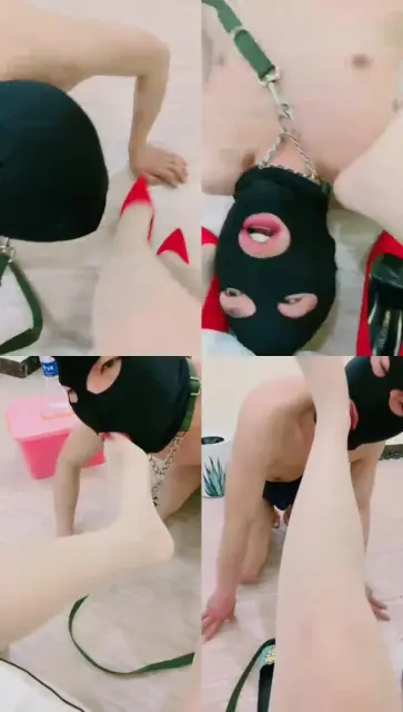 【清墨】Tj不听话的狗狗 