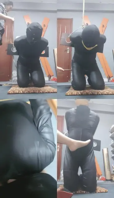 【东营天香百合】枷锁囚禁犯错的狗