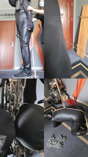 【东营天香百合】清晨对狗撒起床气