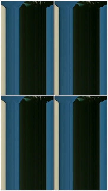 【安心SS】骚狗清理靴子鞭打