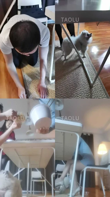 【巴莉】双S-脚下有狗伺候吃饭