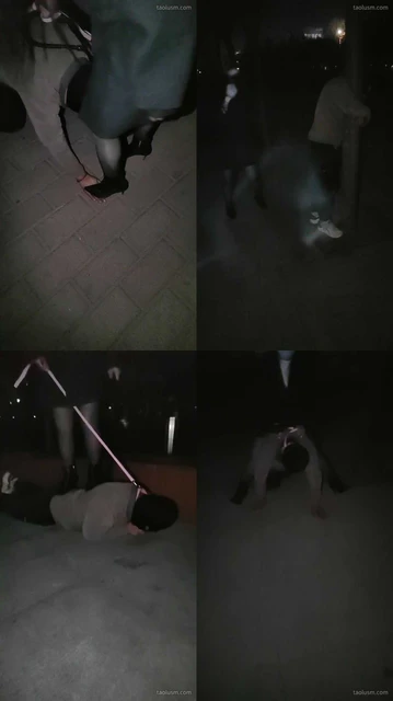 【沐颜s】公园遛狗,踩手,踩踏