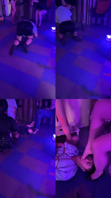 【琴月】双S-捆绑强制虐打【双视角版】