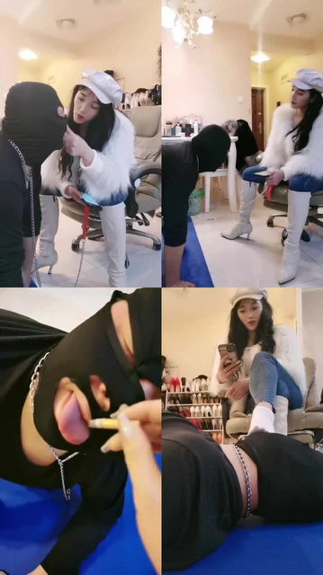 【傲雪】白靴子S调垃圾桶狗