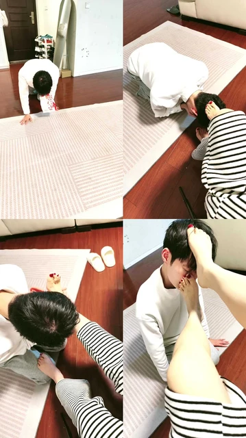 【魔仙集中地】家里小的宠物