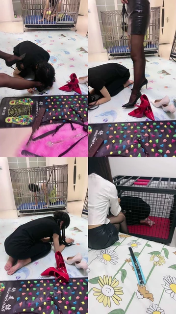 【狠欣然】圈养犬化虐待情侣奴【上】