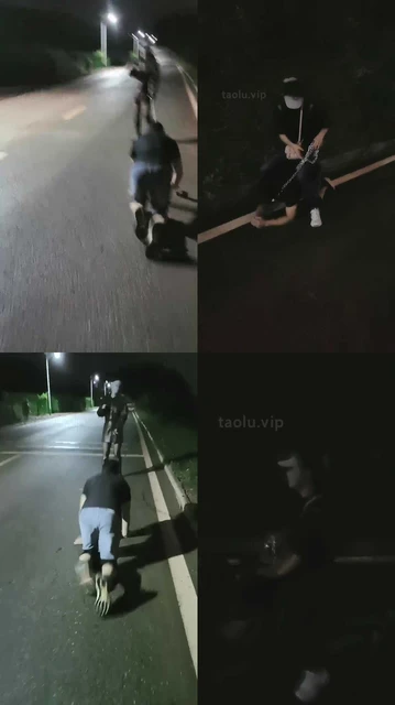 【朱迪】双S户外遛狗散步【双视角版】