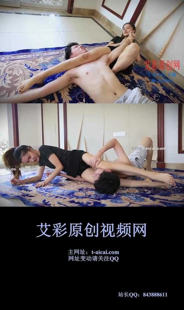 【HPL栖心之栈】【尔岚】尔岚关节技腿绞