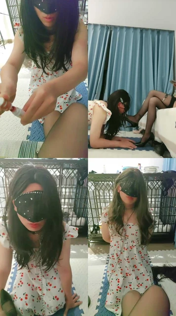 【喵酱紫】母畜饲养计划【二】