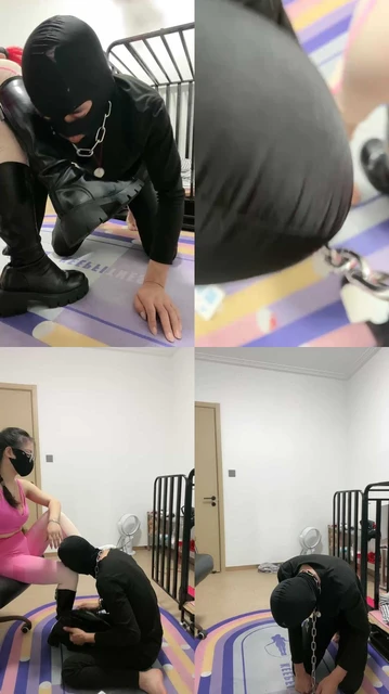 【薇薇】黄金+红金完食黄金狗