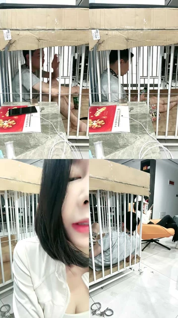 【黛樱】关狗笼里陪主人直播