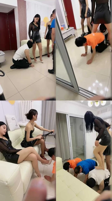 【乔伊S】乔伊S,Da猫双主TJ一家三狗
