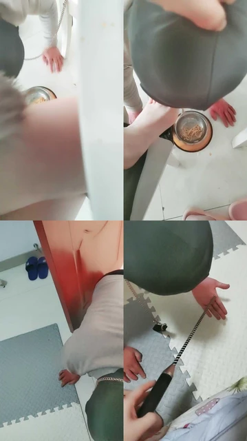 【西老师】狠虐老狗