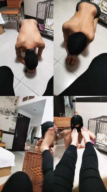 【超高能S】圈养奴一天的生活