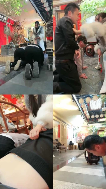 【傲雪】两条拜年狗