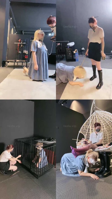 【冰诺】女宠物