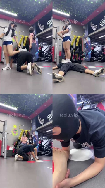 【诗酒趁年华】物化 开整