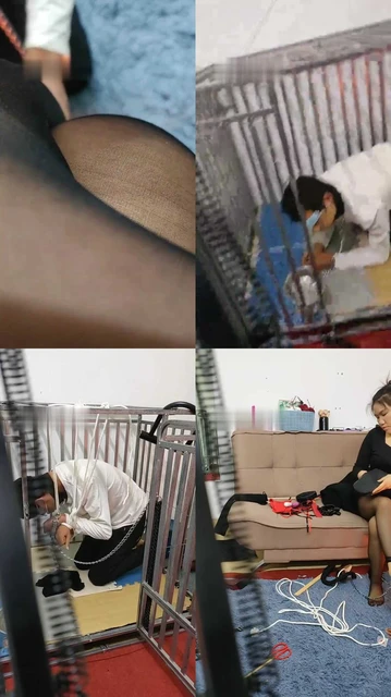 【迷离】狗笼里的悲惨生活