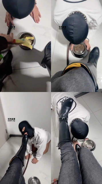 【未知女主】狗粮 圣水料理