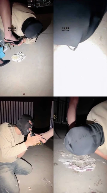 【未知女主】户外调教 恶心喂食