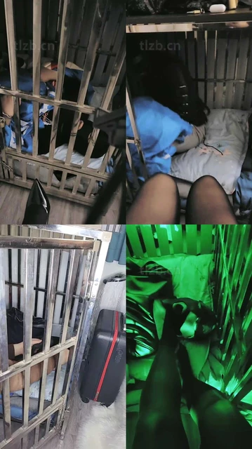 【七色槿】囚禁狗笼给主人发泄