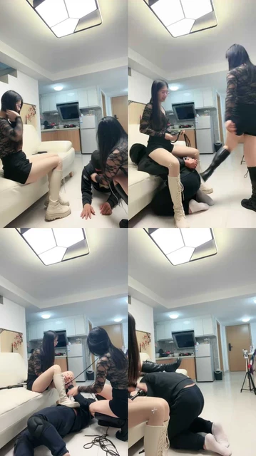 【我的猫S】黑色，白色靴子玩狗