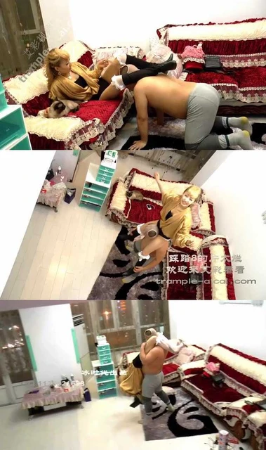 【冰时代】黑冰训调胖奴