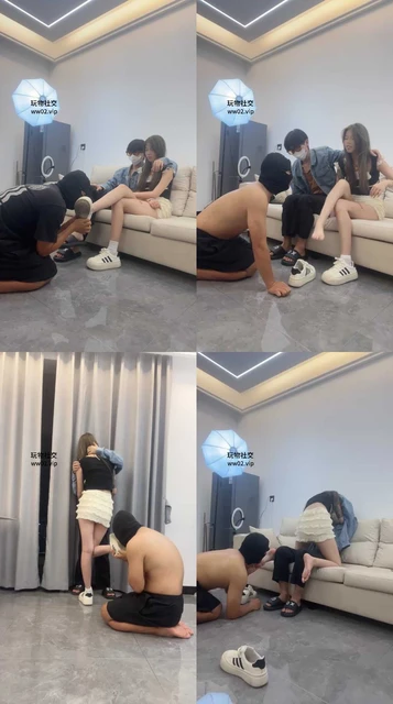 【白鹭】情侣主-绿帽是最贱的犬种