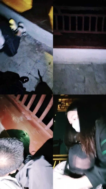 【温莎】深夜户外遛狗【续集】