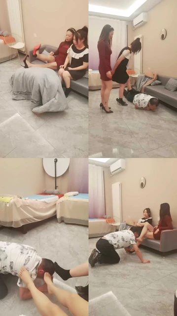 【带刺的玫瑰】新到的狗登家具