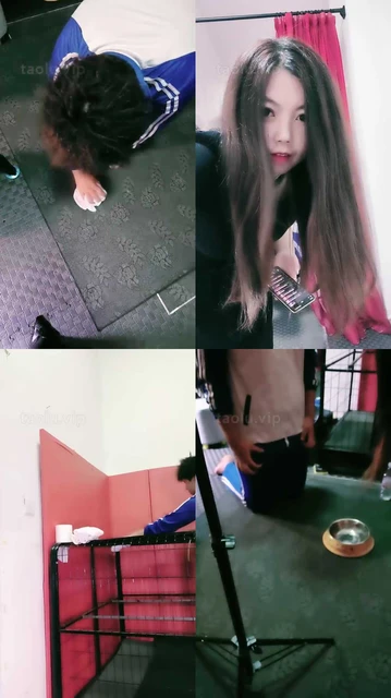 【若澜女主】家务奴养成系【一】