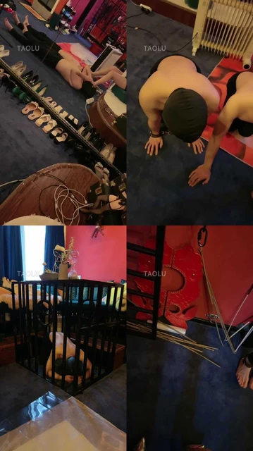 【晨晨cc】御姐极度羞辱圈养两狗奴