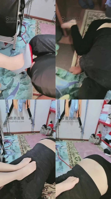 【西安欣】训狗钻胯舔脏鞋底