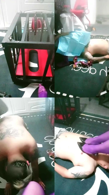 【上海女王白狐】调教