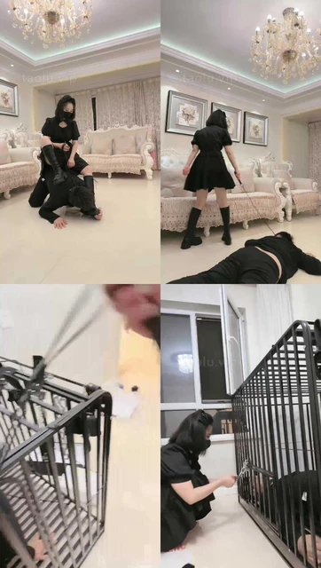 【鱼糯糯】长靴S圈养犬化训练