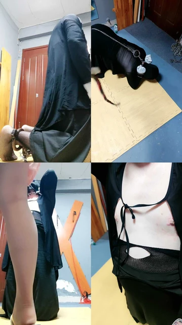 【东营天香百合】好好做狗