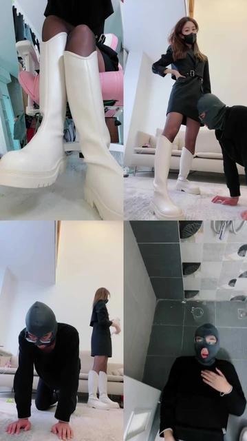 【一茶】同事居然是条狗