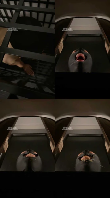 【Sera】调教黄金狗