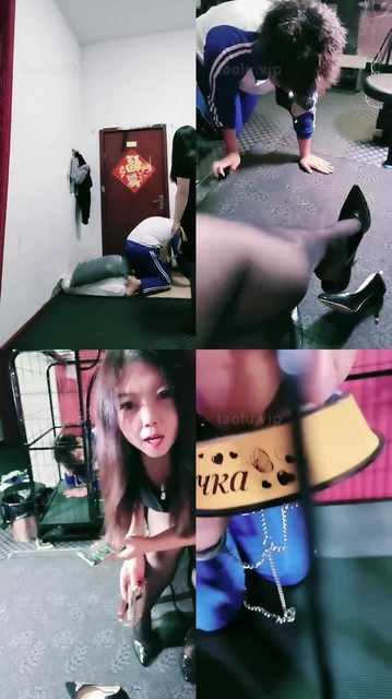 【若澜女主】家务奴养成系【二】