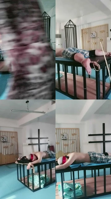 【青妍艾斯】虐狗下半场