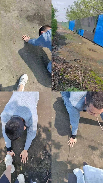 【半糖】户外狗爬遛狗/运动鞋踩/树枝鞭打【完整版】